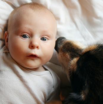 Baby und Hund 