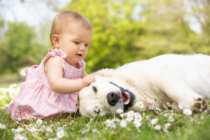 Hund trifft auf das Baby