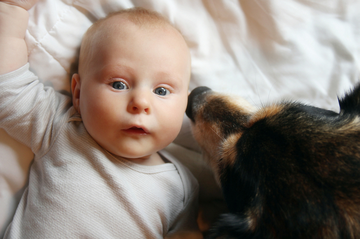 So werden Baby und Hund zum Dreamteam