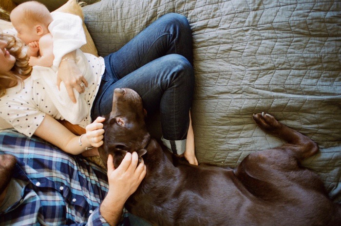 Junge Familie mit Hund